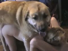 A brown animal having sex with a doxy